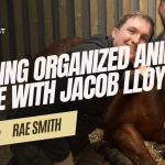 Rae Smith interviews Jacob Lloyd on the AWIP Podcast